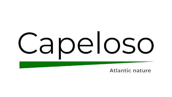 Logo capeloso