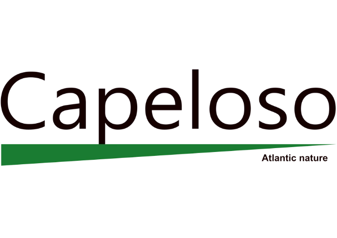 Logo capeloso