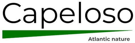 logo-capeloso