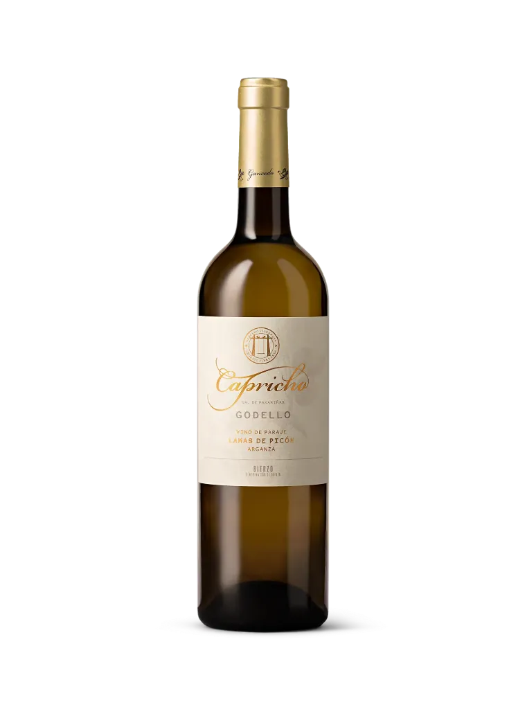 Capricho Val de Paxariñas Godello (750 ml) | Bodega Gancedo