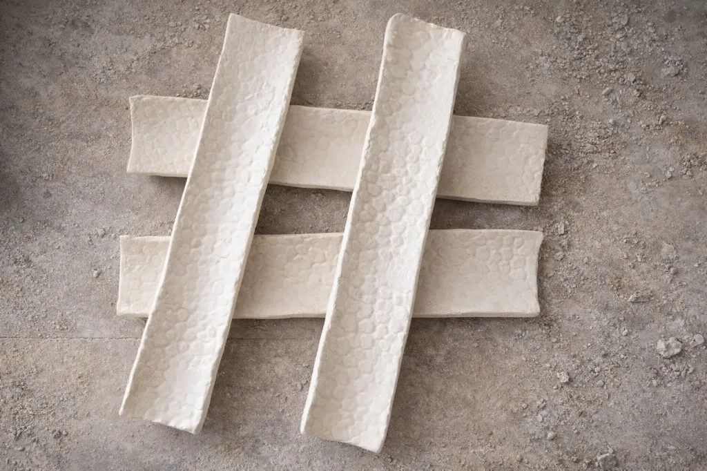 Bandeja Petit Fours Textura Reptil 30cmx6cm 6 Unidades - Maïa Cerámica