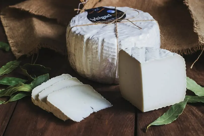 [CN400014] Veigadarte semi-cured goat cheese large.