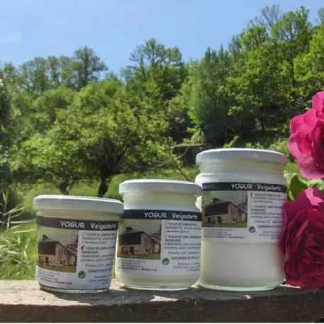 Yogur de Cabra con Arándanos (180g) | Veigadarte