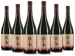 [FT200064] Alto de la Judiega Crianza 13 Viñas (D.O. Bierzo).