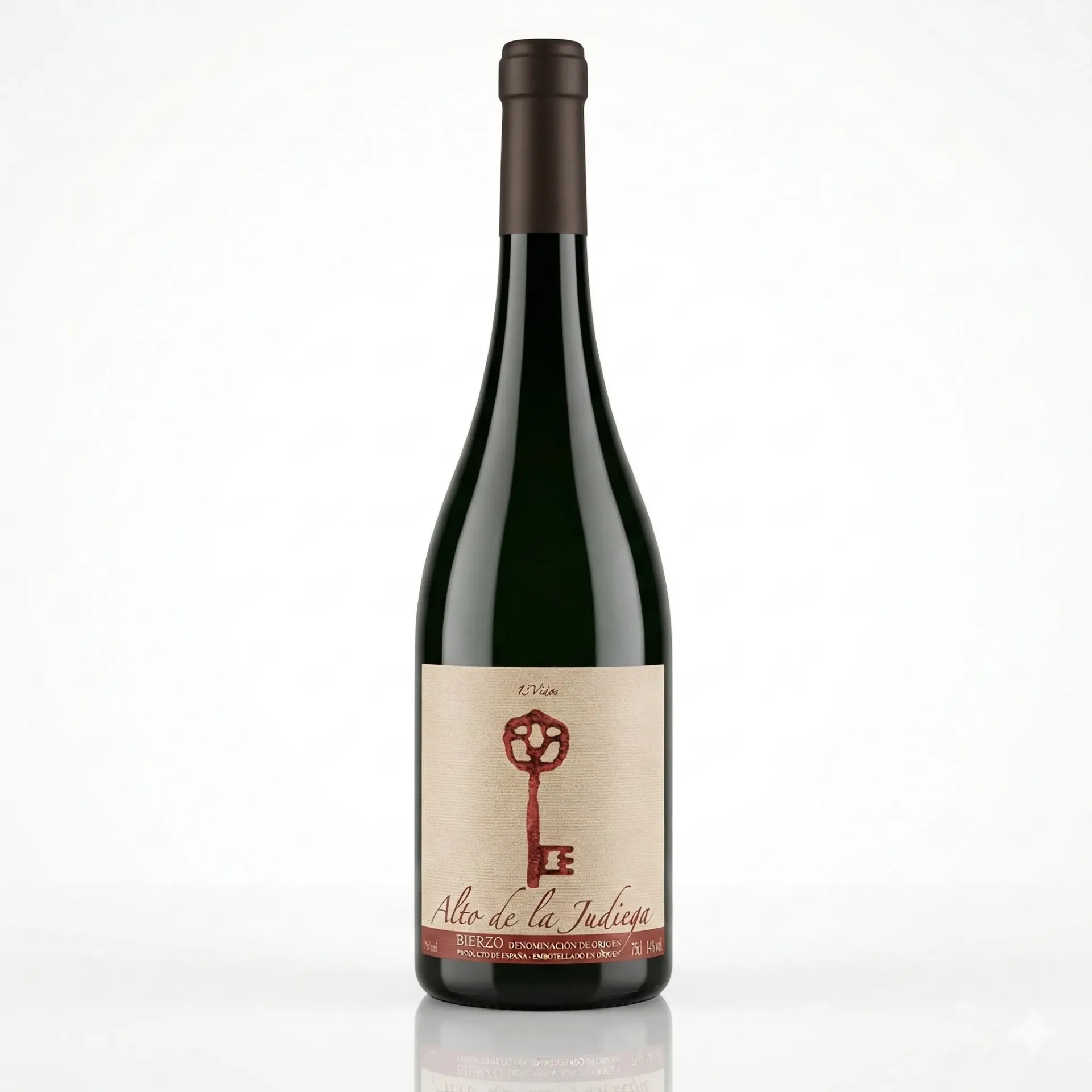 Alto de la Judiega Crianza 13 Viñas (D.O. Bierzo) wine.