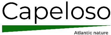 Capeloso